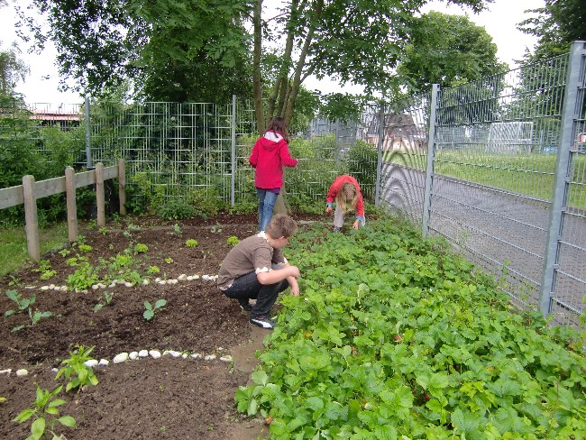 Schulgarten_12a.jpg