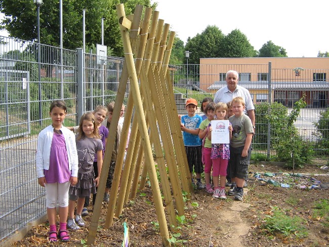 Stangenbohnen Stangenbohnen
